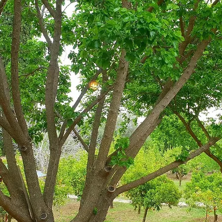 בית נופש Lemon Forest Villas *